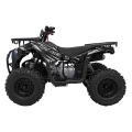 Quad Spalinowy 120CC DISCOVERER Czarny PSP.ATV009.8.CZ
